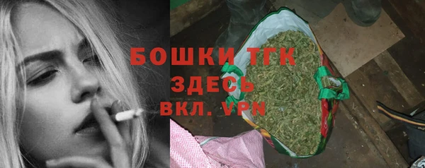 гидра Алексеевка