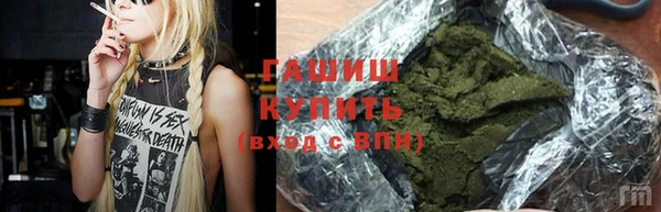 гидра Алексеевка