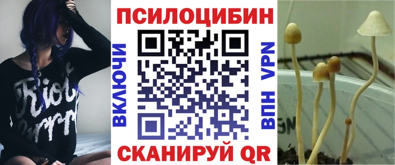 Галлюциногенные грибы Psilocybine cubensis  Челябинск 